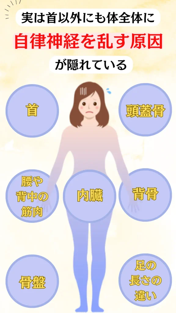 通院や施術計画に関するご案内 継続して通うことで自律神経が整っていく流れ